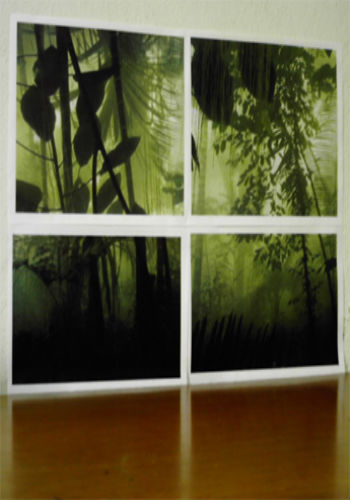 Wall Graphics- Laura Wall Graphics- Laura