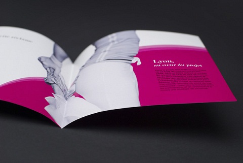 Brochure Design 49 Brochure Design 49
