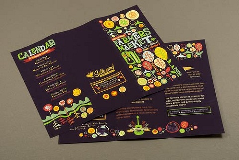 Brochure Design 80
