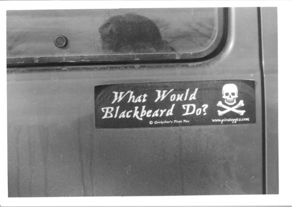 Car Sticker Art 17