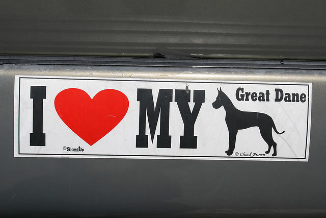Car Sticker Quote 19