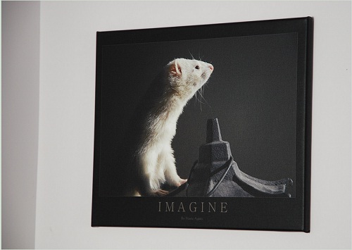 Photo Canvas Samples 02 Photo Canvas Samples 02