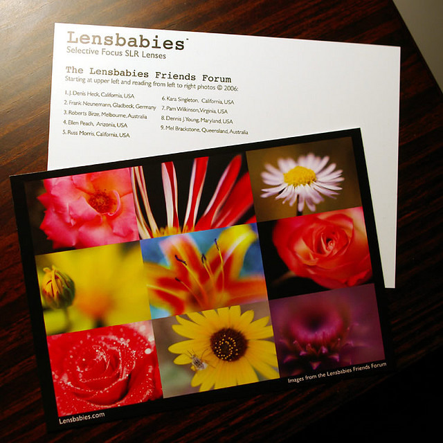 postcard sample