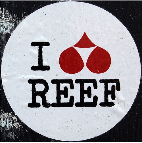 Surf Stickers 03 (chrisinplymouth, Some Rights Reserved)