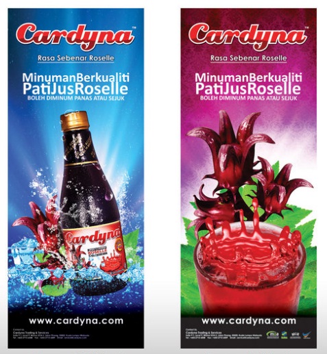 Full Color Vinyl Banners Full Color Vinyl Banners
