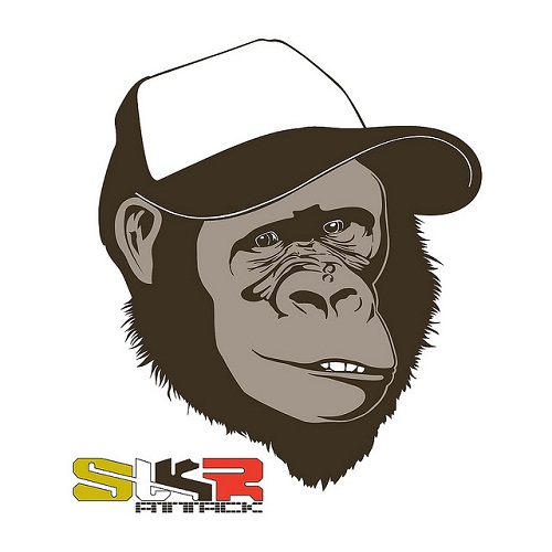 Vinyl Sticker Printing